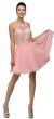 Sheer Lace Bodice Chiffon Short Homecoming Prom Party Dress in Blush/Nude